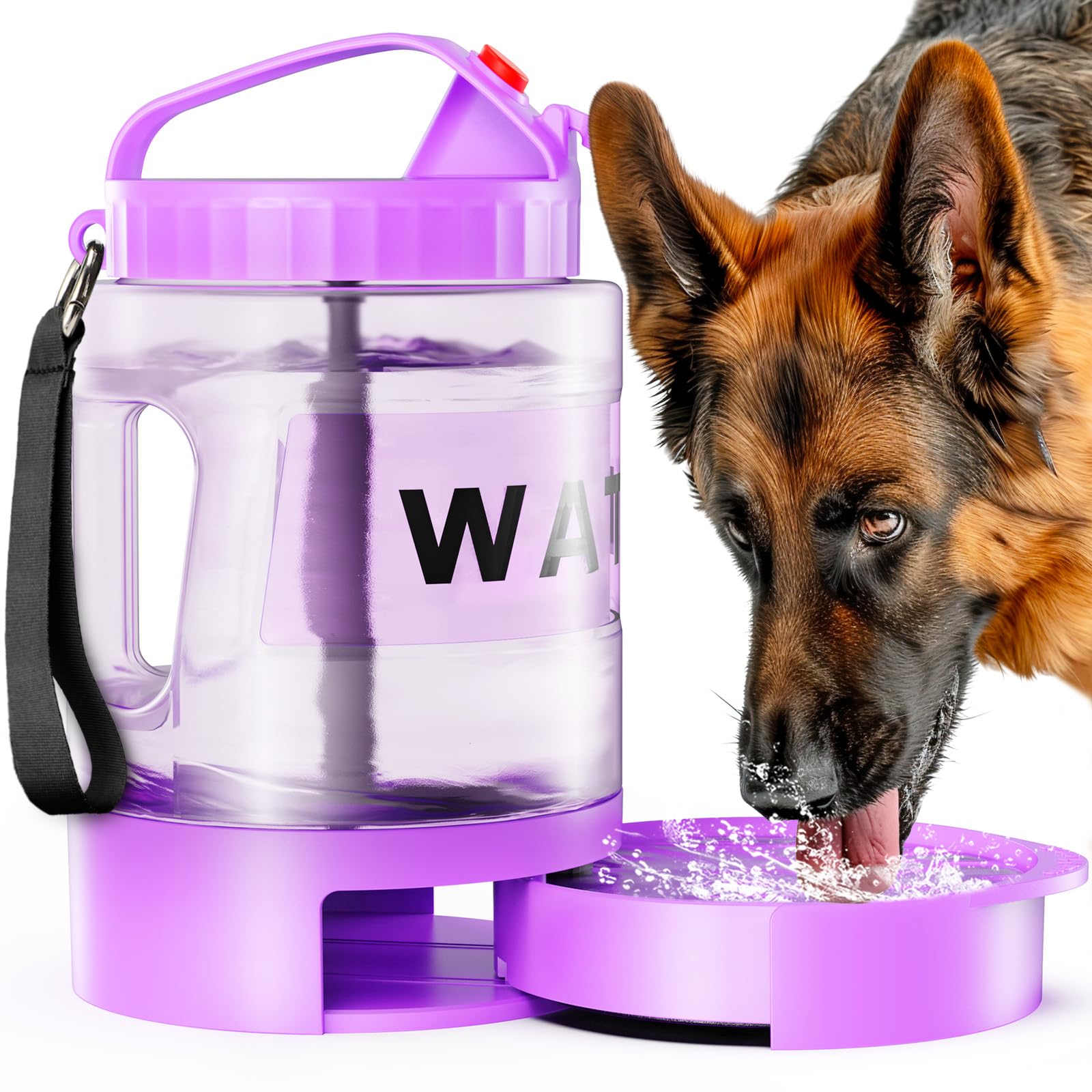Big Size Dog Bottle & Bowl